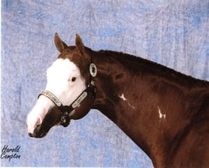 Intimidate_Head_shot_Kid