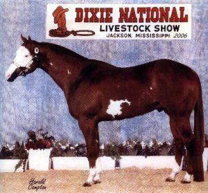 Intimidate_Kid_back_bus_card