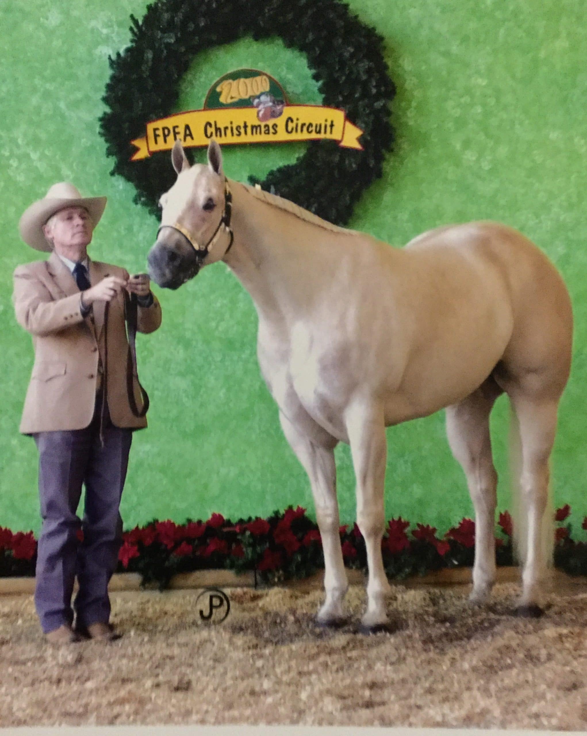 Hall of Fame Gelding, The Obsessive Streak with Hall of Fame Exhibitor, Ed North